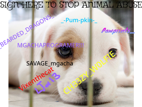 SIGN HERE TO STOP ANIMAL ABUSE remix remix remix