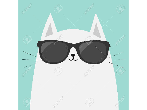 Calm Happy Cat Moment!