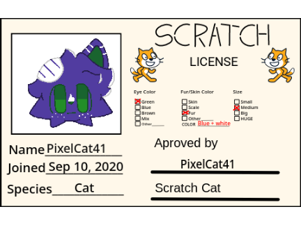 Scratch License (Totally official)