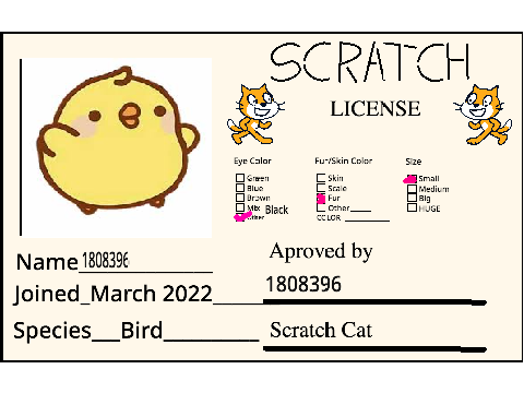 Scratch License