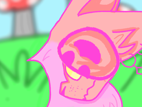 wonky  2 reshare2
