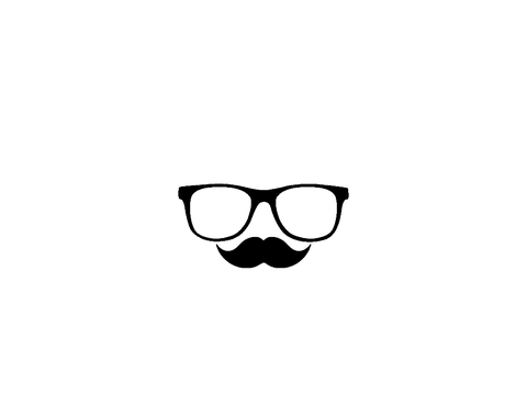 Disguise