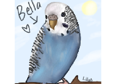 Bella