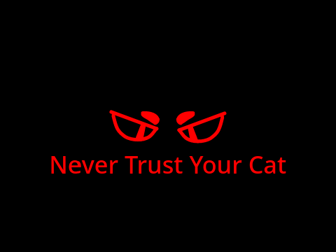 Never Trust Your Cat