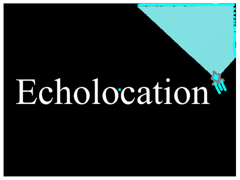 Echolocation Demo