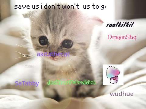 sign if you hate animal cruelty remix remix remix remix remix