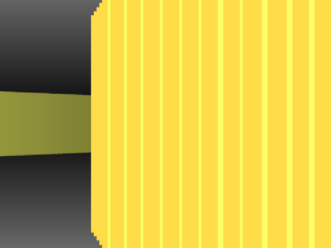 3D raycaster