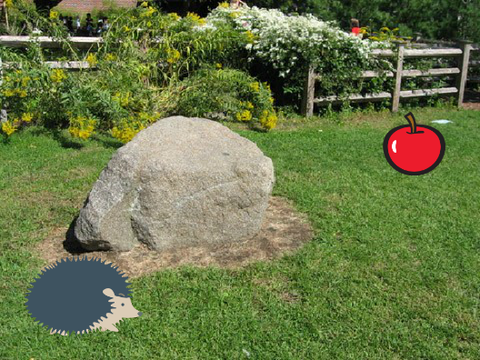 Virtual Pet 