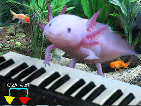 Noob axolotl pianoist
