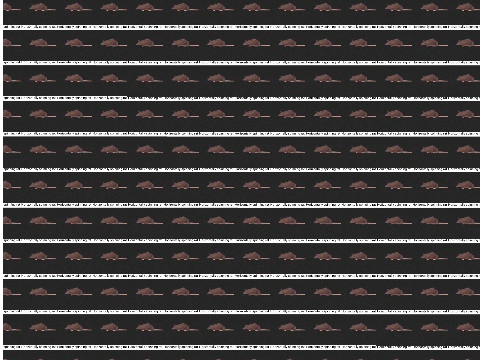 9999999999999999999999999999999999999999999999999 horizontally spinning rats 