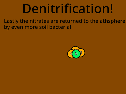The nitrogen cycle!!!  