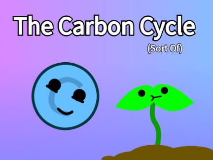 Carbon Cycle