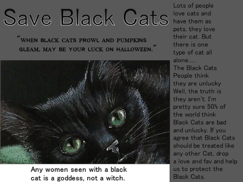 Save Black Cats! remix