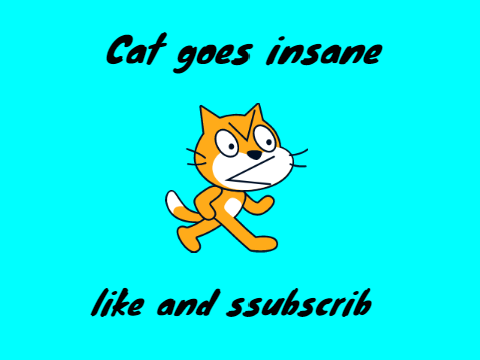 Cat goes insane.