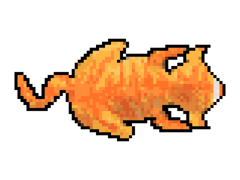 The true scratch cat