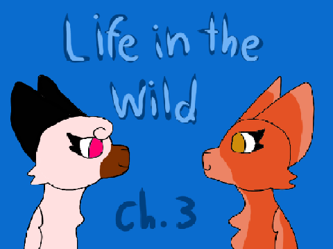 Life In The Wild ~ Ch. 3, Request!