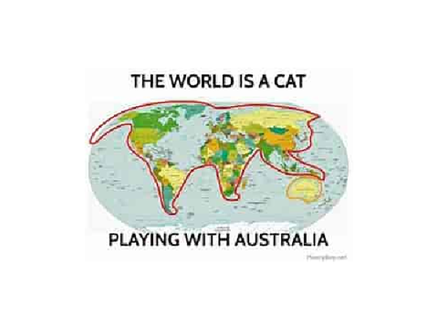 the world is a cat playing with Australia remix