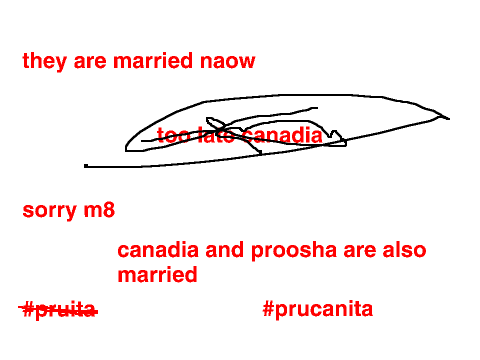 happy marriage teims proosha and ita