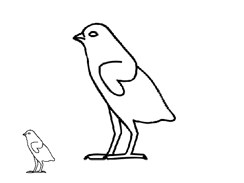 birb FROM EGYPT