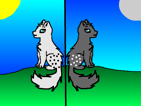 Double CCE 