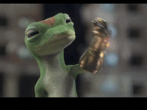 lizard is funny (remix)