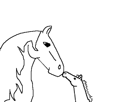Horse-Foal CC CLOSED