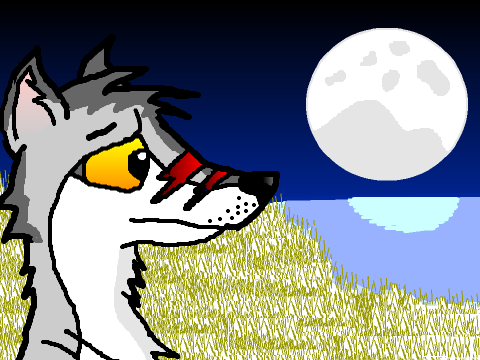 wolfish drawings