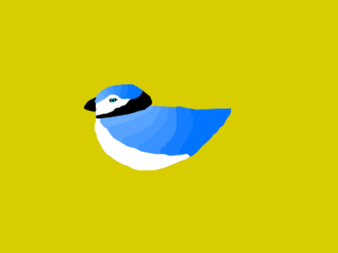 Bird Drawing (With New Intro!)