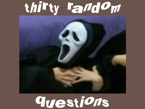 thirty random questions