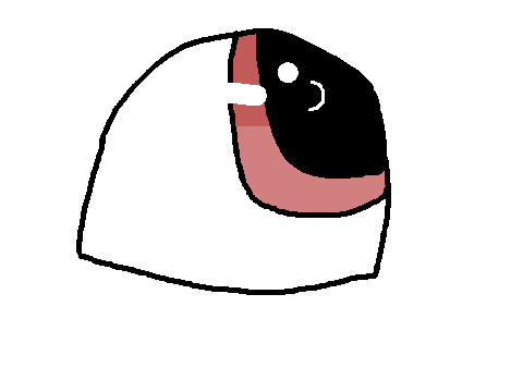 Vol. 3 - Animation