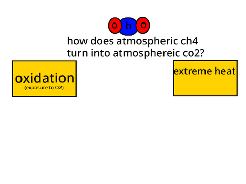 carbon cycle quiz game