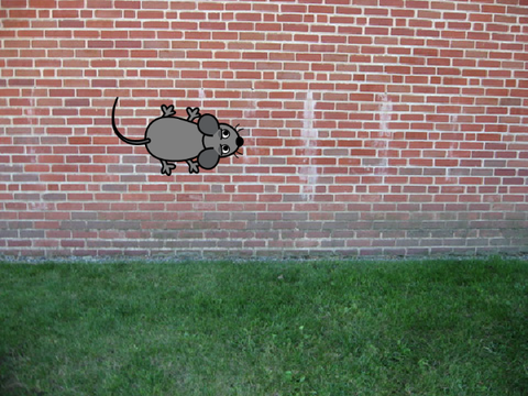 Catch The Mouse