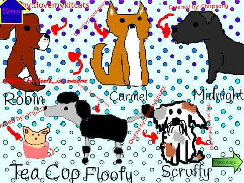 Adopt a dog!