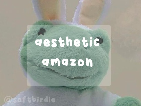 aesthetic amazon