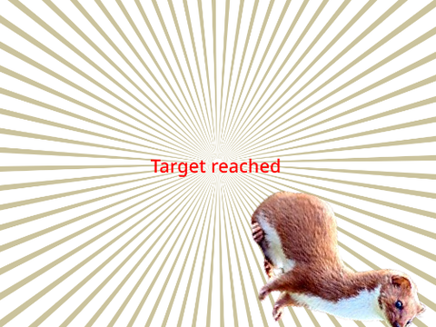 Weasel Program