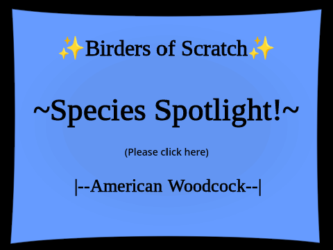 American Woodcock!
