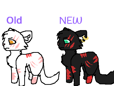 Which is better old or new