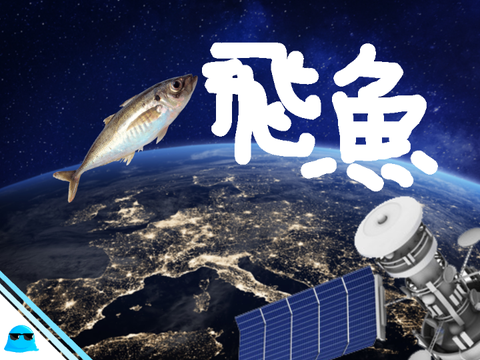 飛魚