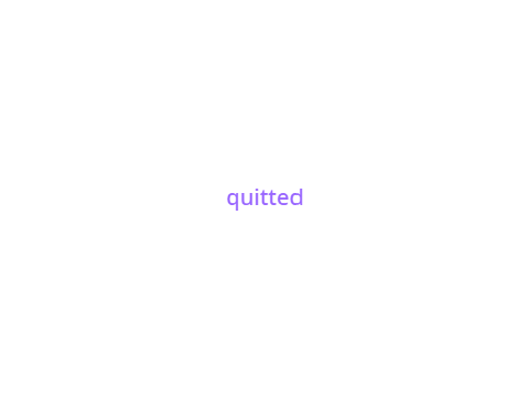i quit