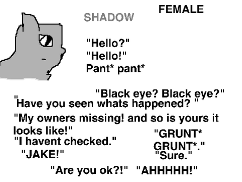 The surviving aditions SHADOW