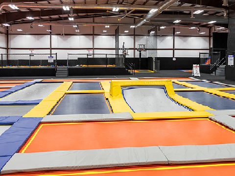 Penguin in a Trampoline Park
