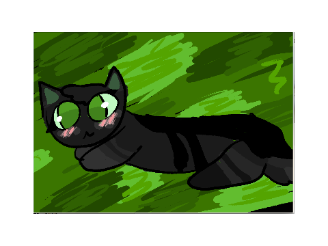 Raven DTAE