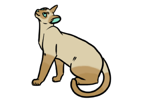 Cats of RP: The Forbidden Forest