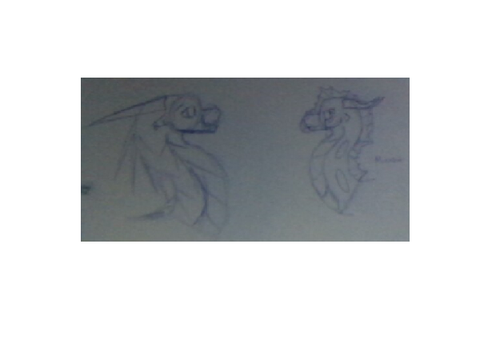 Dragon sketches