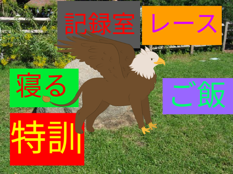 鳥さん育成ゲーム！(フォロワー50人記念)