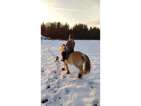 Snow Dayyy