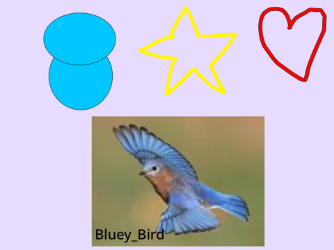 Bird Pictures! (Animation)
