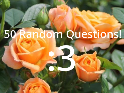 ◈ 50 Random Questions! :3 ◈