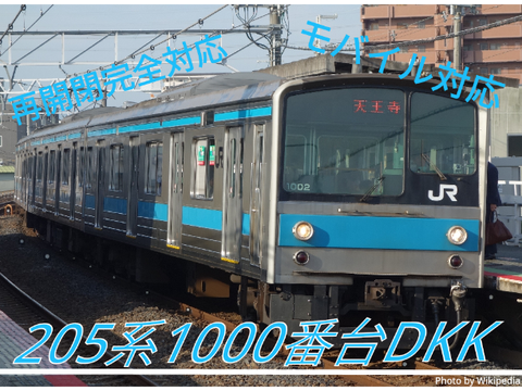 【再開閉完全対応】【モバイル対応】JR奈良線205系1000番台 ドア開閉機構 JR-Nara-Line series205-1000 DKK
