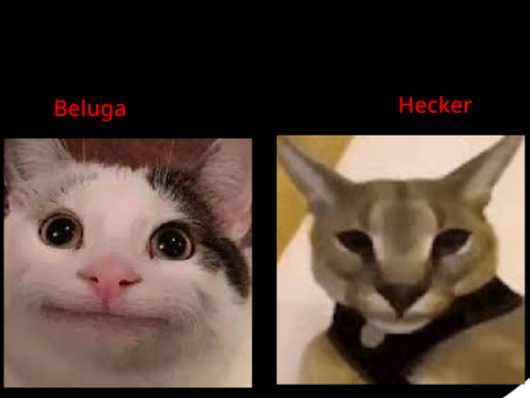 Who is a better youtuber?